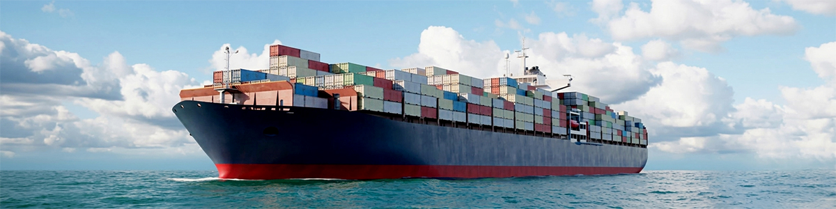 VESSELS INSPECTION